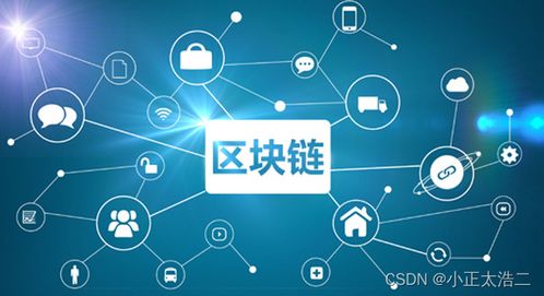 區(qū)塊鏈技術(shù)在軟件開發(fā)中的應(yīng)用與前瞻